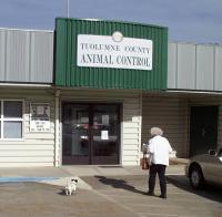 Tuolumne County Animal Control