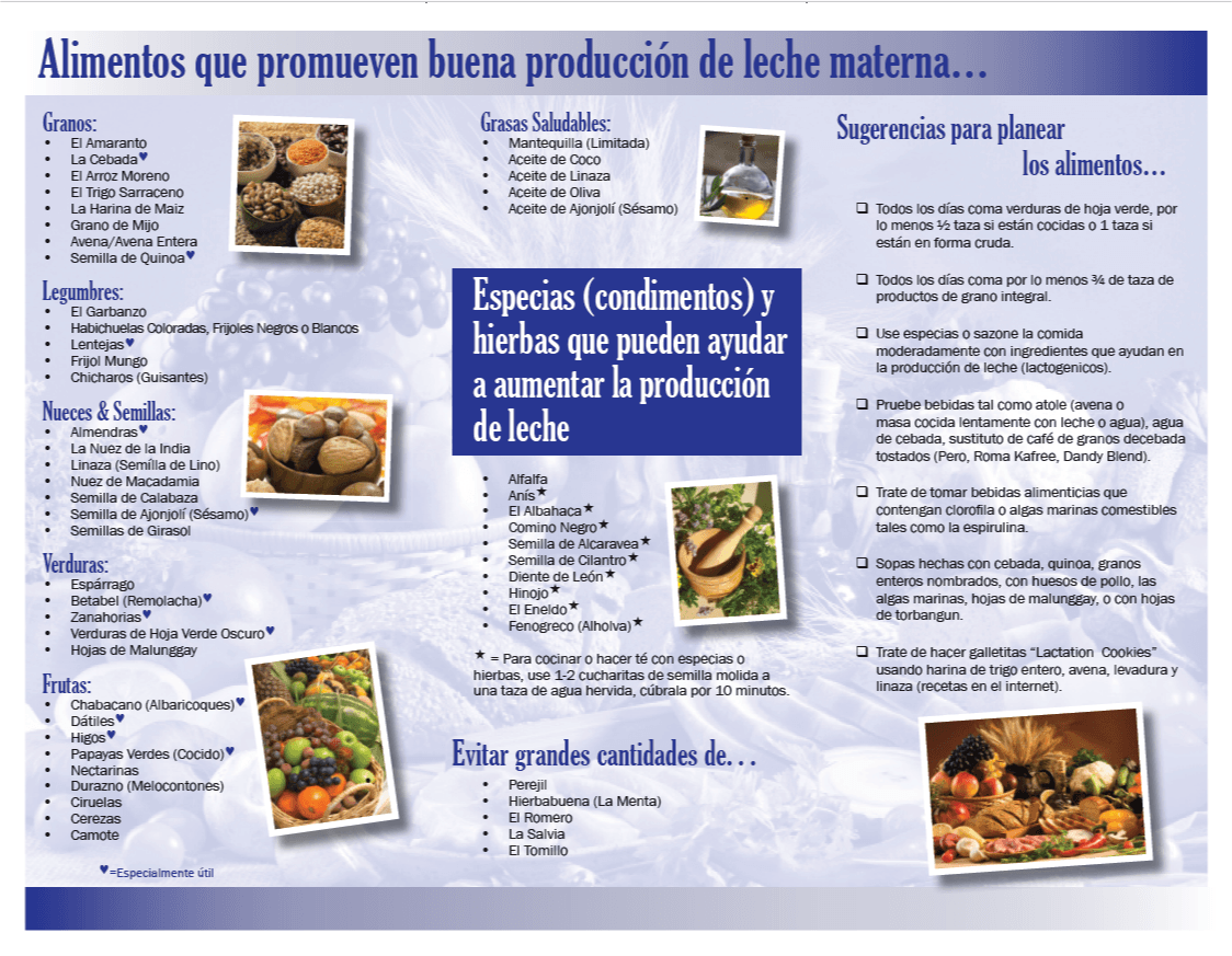 Alimentos Que Le Pueden Ayudar A Aumentar Su Producción De Leche Materna Pagina Dos