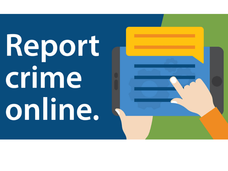 Online report Opens in new window