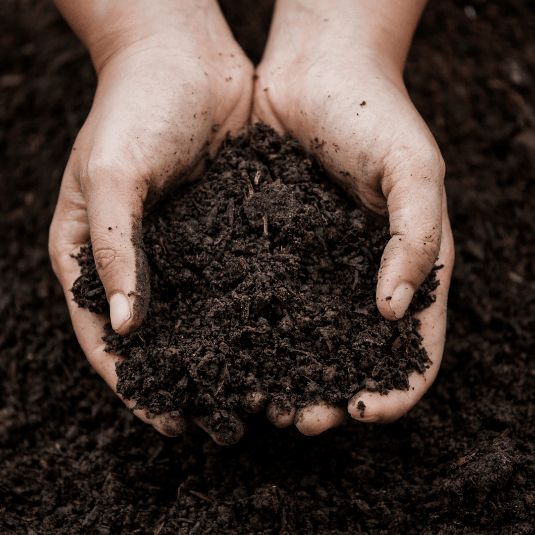 Hands holding soil